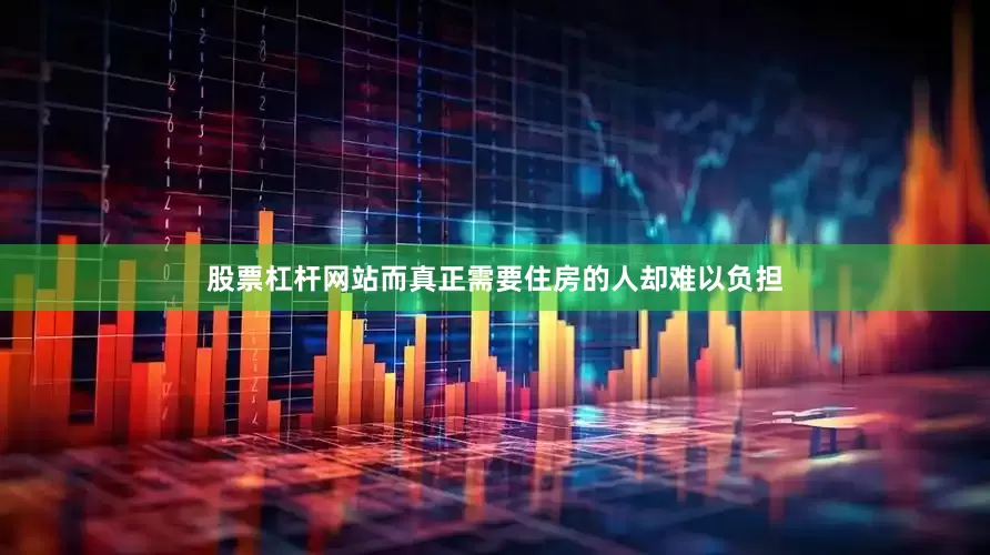 股票杠杆网站而真正需要住房的人却难以负担