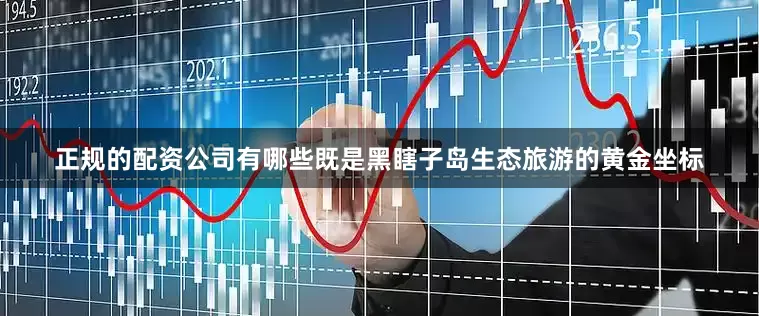 正规的配资公司有哪些既是黑瞎子岛生态旅游的黄金坐标
