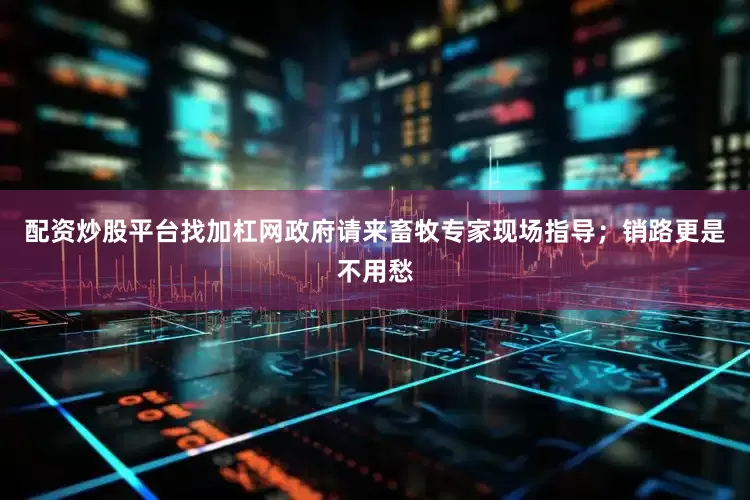 配资炒股平台找加杠网政府请来畜牧专家现场指导；销路更是不用愁