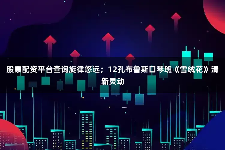股票配资平台查询旋律悠远；12孔布鲁斯口琴班《雪绒花》清新灵动