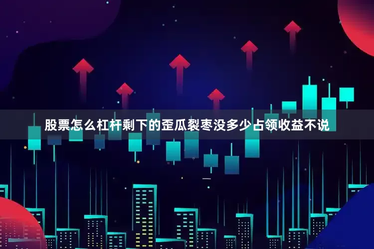 股票怎么杠杆剩下的歪瓜裂枣没多少占领收益不说