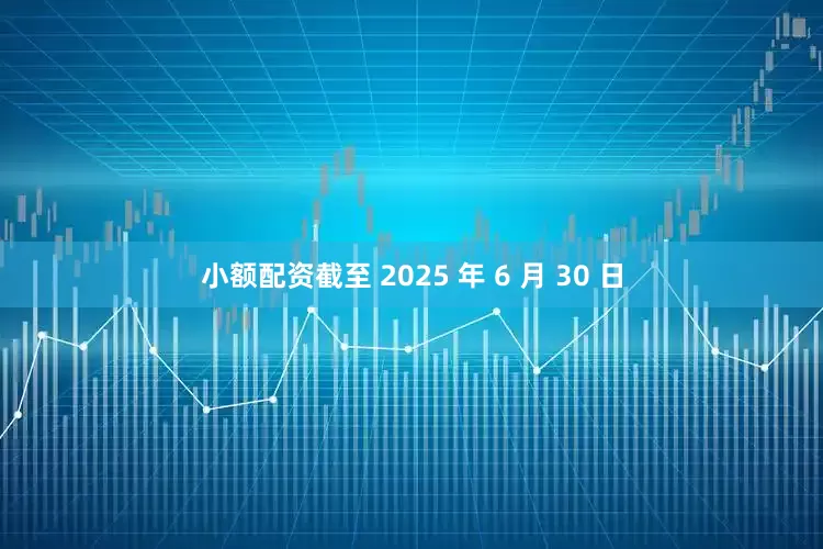 小额配资截至 2025 年 6 月 30 日