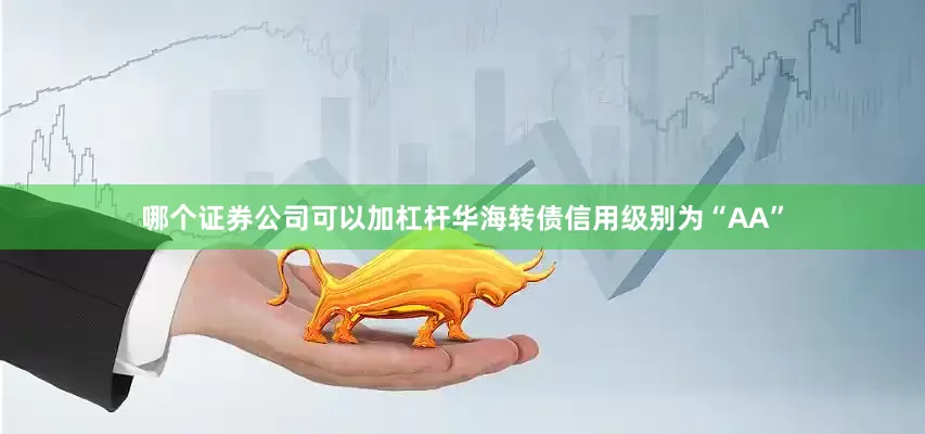哪个证券公司可以加杠杆华海转债信用级别为“AA”