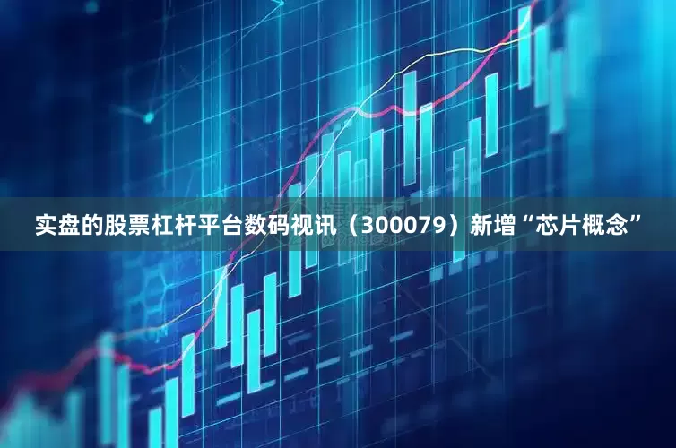 实盘的股票杠杆平台数码视讯（300079）新增“芯片概念”
