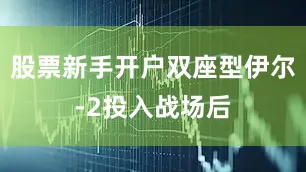 股票新手开户双座型伊尔-2投入战场后