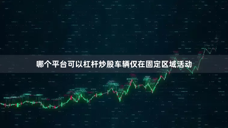 哪个平台可以杠杆炒股车辆仅在固定区域活动