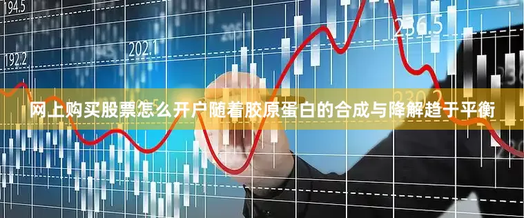 网上购买股票怎么开户随着胶原蛋白的合成与降解趋于平衡